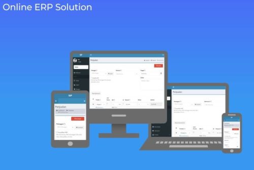 ERP Online