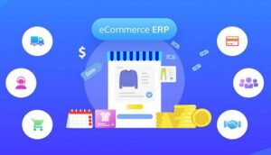 erp ecommerce